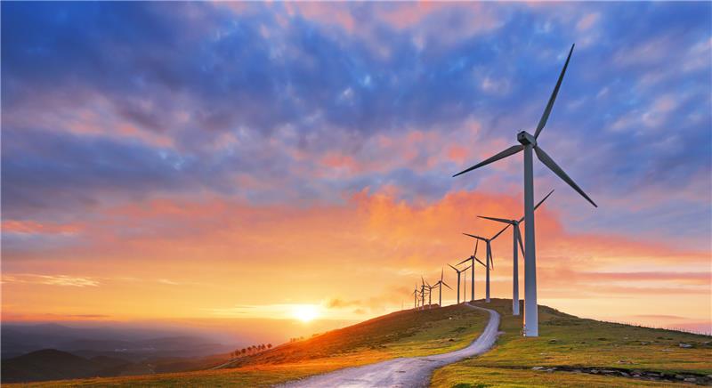 Hayley Morris Impact Sustainability
